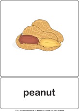 Bildkarte - peanut.pdf